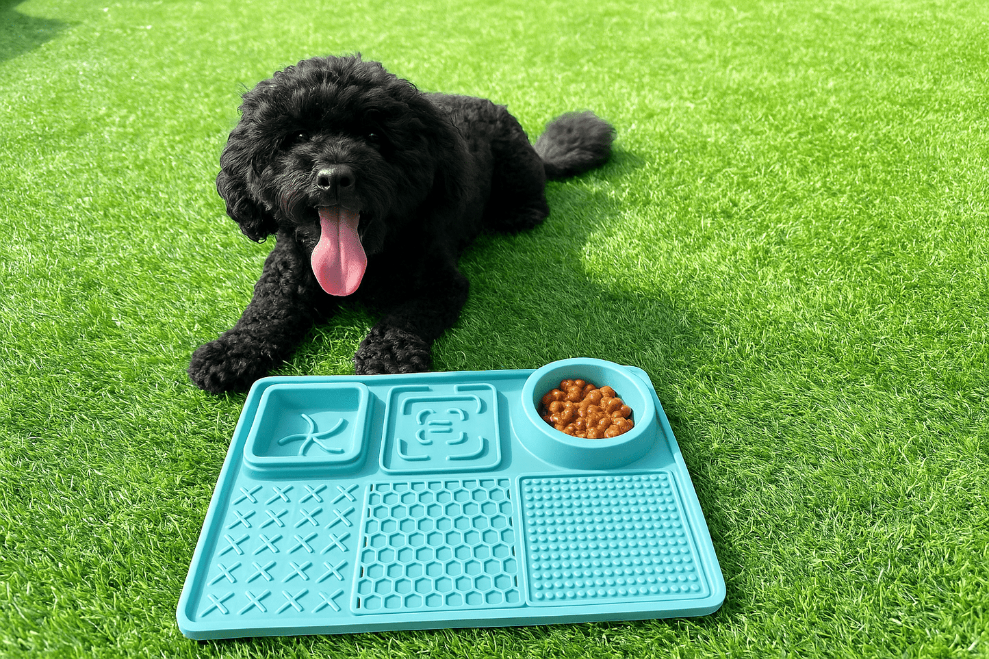 💎 Excellence LickMat 💎 - Prime Buddy Pets